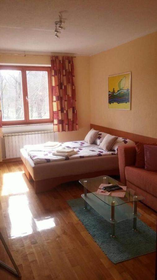Gaby Apartment-Center Of Plitvicka Jezera Exterior photo